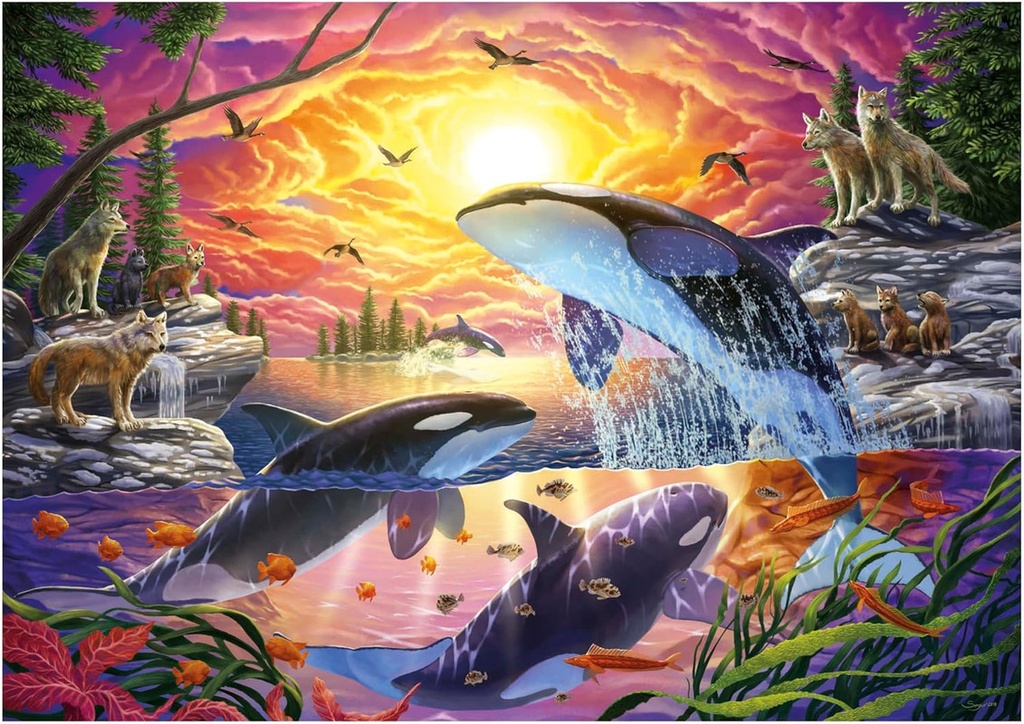 PUZZLE 4000 ORCAS y LOBOS  │