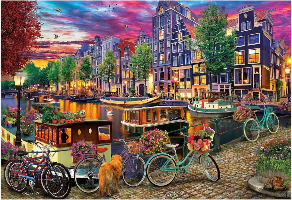 PUZZLE 6000 BICICLETAS EN AM