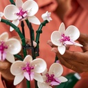 Orquídeas LEGO 10311