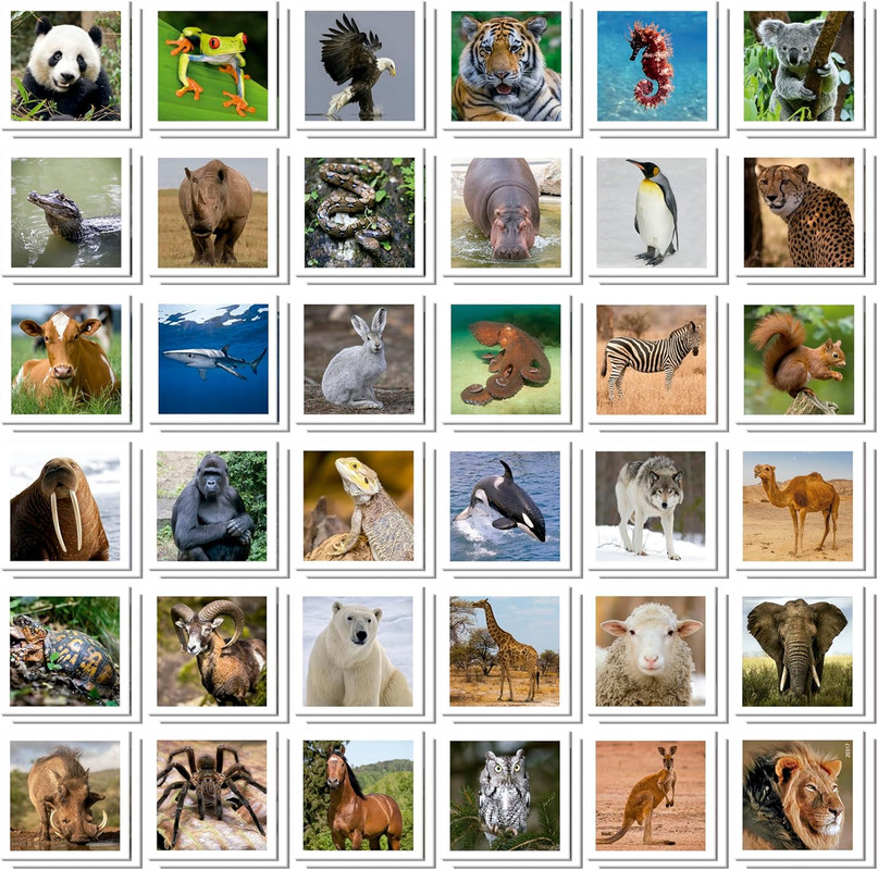 IDENTIC 72 ANIMALS FSC(R) EDUCA 20317