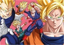 PUZZLE 300 DRAGON BALL DBZ FSC(R) EDUCA 20414