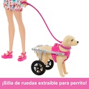 MUÑECA BARBIE PASEADORA PERRO SILLA DE RUEDAS HTK37 MATTEL HTK37