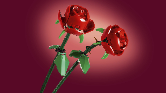 Rosas V111 LEGO 40460