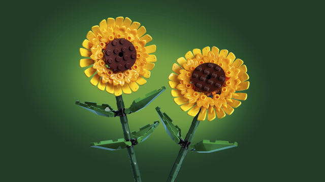 Girasoles V110 LEGO 40524