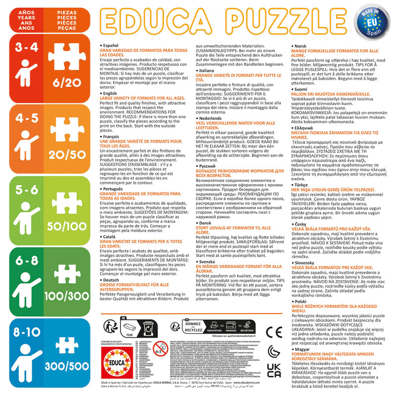 PUZZLE 250 STITCH POSTER PUZZLE EDUCA 19963