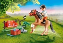 Poni Coleccionable Connemara PLAYMOBIL 70516