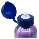 STOR BOTELLA ALUMINIO PEQUEÑA 400 ML FROZEN TRUST THE JOURNEY 74234