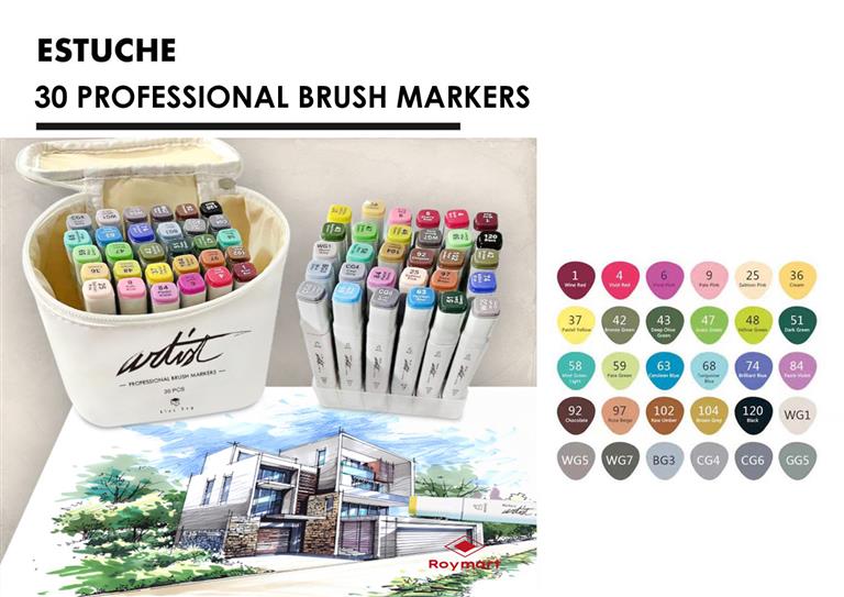 CANVAS LUXE PROFESSIONAL BRUSH MARKER 30 COLORES