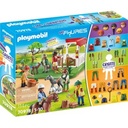 My Figures: Rancho de Caballos