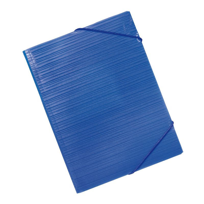 CARPETA GOMES, BLAVA