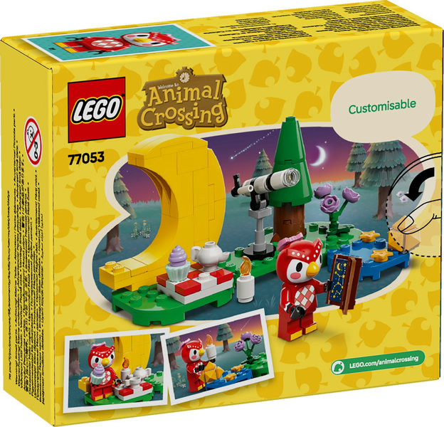 Mirando las estrellas con Estela LEGO 77053