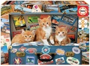 PUZZLE 200 GATITOS VIAJEROS FSC(R) EDUCA E18065