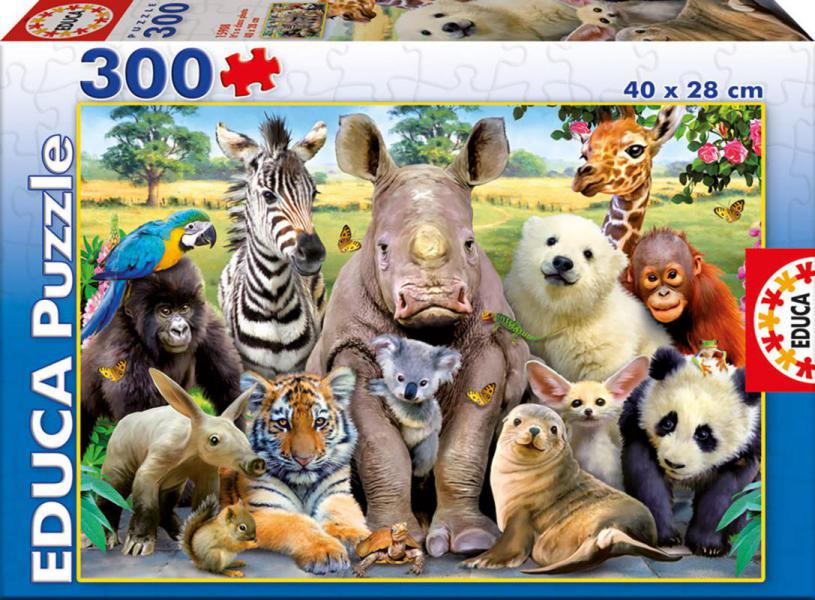 PUZZLE 300 FOTO DE CLASE EDUCA 15908