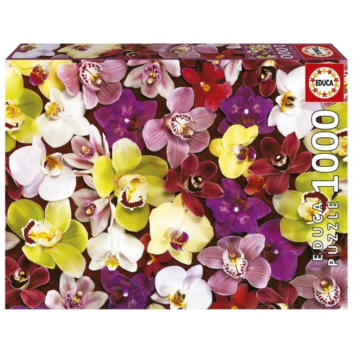 [E19558] PUZZLE 1000 COLLAGE DE ORQUÍ EDUCA 19558