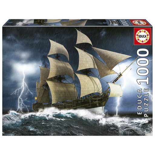 [E19556] PUZZLE 1000 TORMENTA PERFECT EDUCA 19556