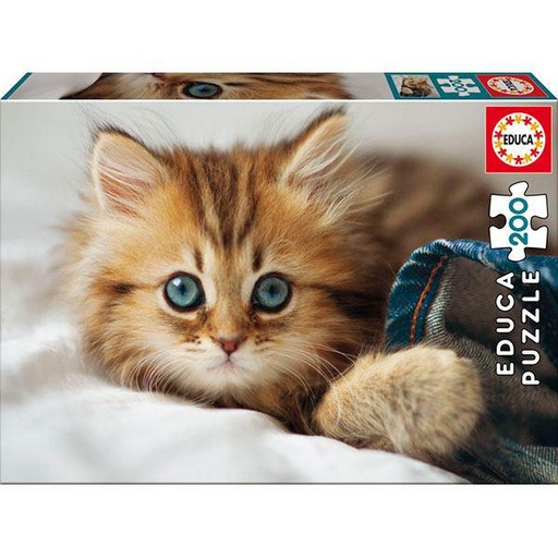 [E17154] PUZZLE 200 GATITO     EDUCA 17154